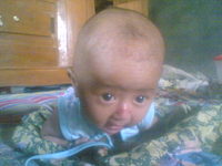 Alya 23